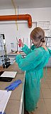 2023-09-22 Zajęcia na Wydziale Chemii UMCS