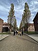 Wycieczka Krak&oacute;w - Wieliczka - Oświęcim
