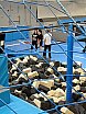 2023-11-07 Wyjazd_integracyjny_do_Lublina