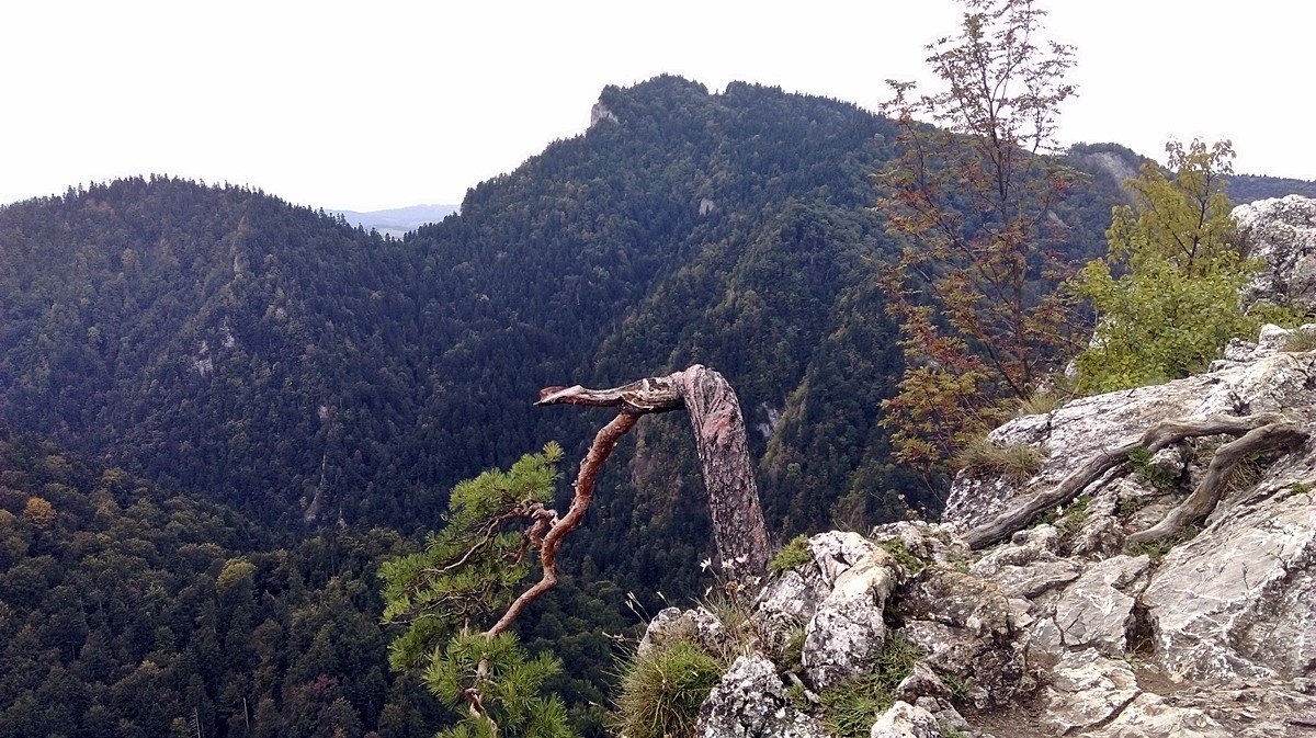 2019-09-23_25_Wycieczka_Pieniny_Tatry