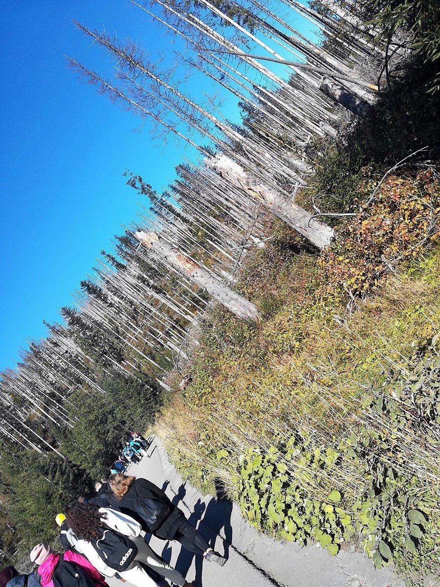 2019-09-23_25_Wycieczka_Pieniny_Tatry