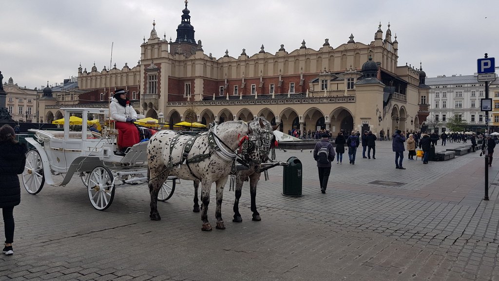 2019-11-14_15_wycieczka_Krakow