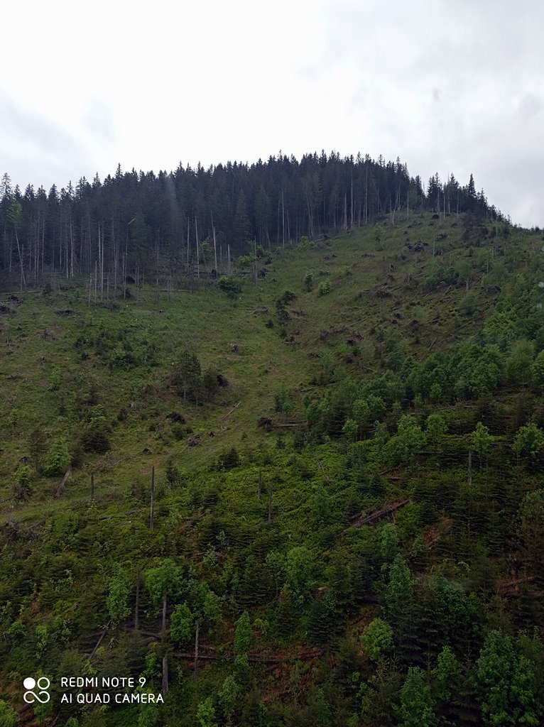 2023-06-07 wycieczka Zakopane