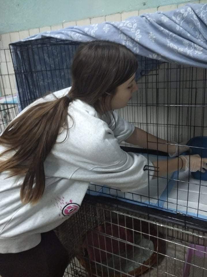 Wolontariusze_Szkolnego_Kola_PCK_na_pomoc