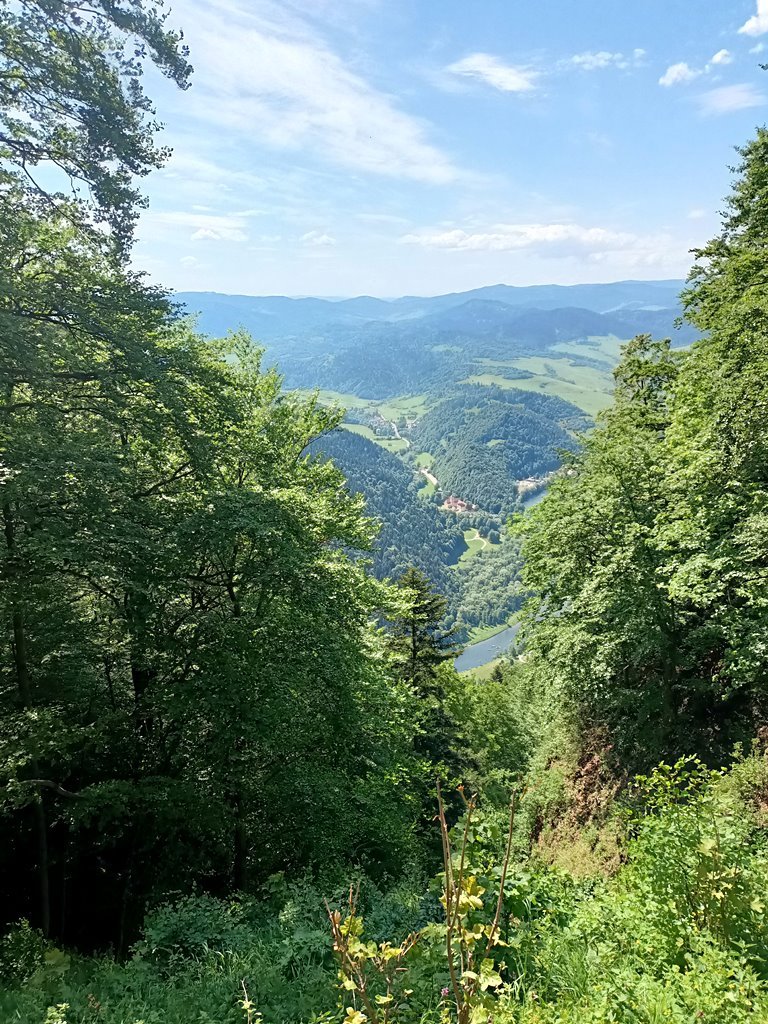 2024-05-29 Wycieczka_klasy_1b_w_Pieniny