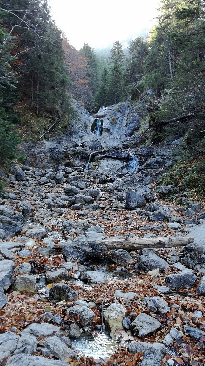 2019-10-17_wycieczka_2b_2d